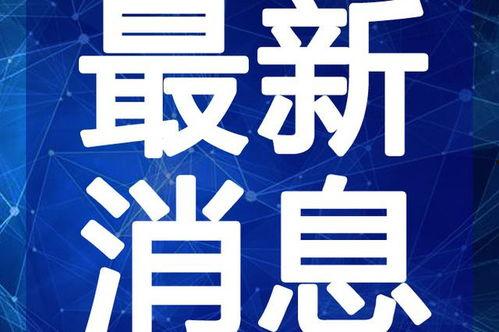 网瘾阿胖爆料视频大全最新,揭秘网络世界背后的真相 第1张 网瘾阿胖爆料视频大全最新,揭秘网络世界背后的真相 第1张