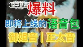 和平体验服最新活动爆料,揭秘神秘爆料，畅享刺激战场盛宴